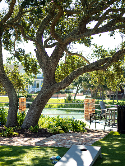 Evia Galveston Trees and Landscape